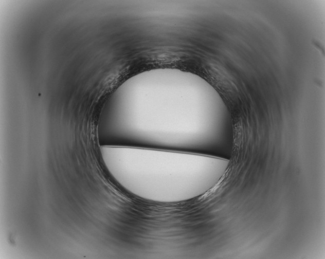 X0000098040184200804111355