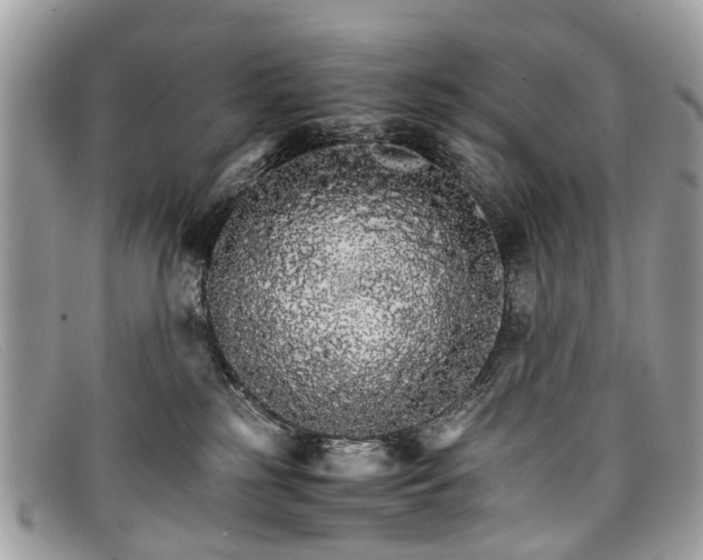 X0000098040185200804111355