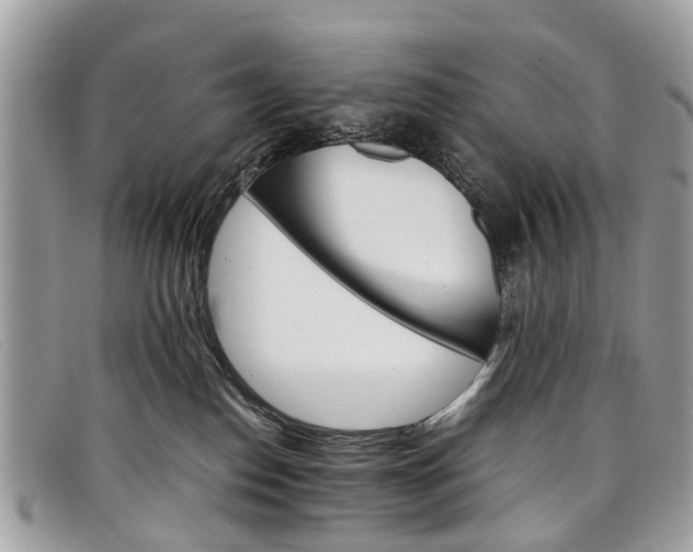 X0000098040186200804111355