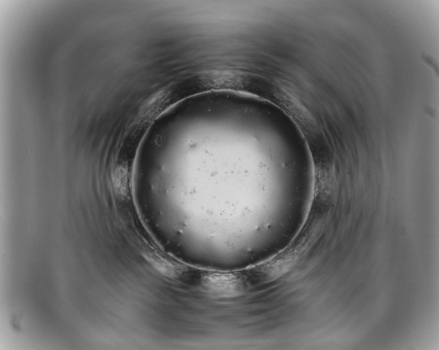 X0000098040189200804111355