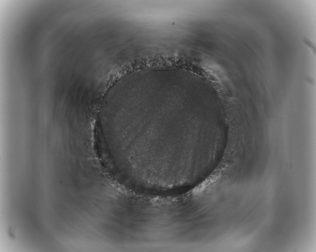 X0000098040192200804111355