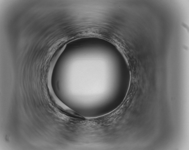 X0000098040193200804111355