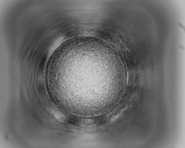 X0000098040195200804111355