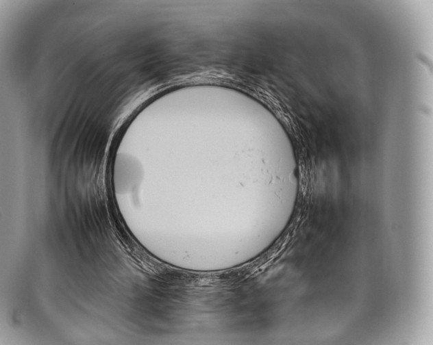 X0000098040196200804111355