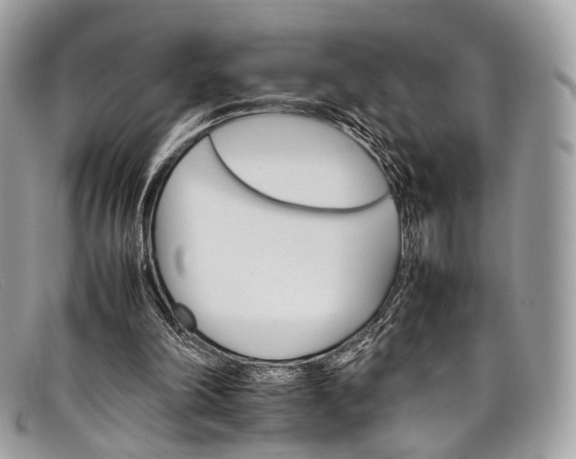 X0000098040198200804111354