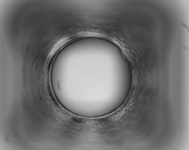X0000098040199200804111354