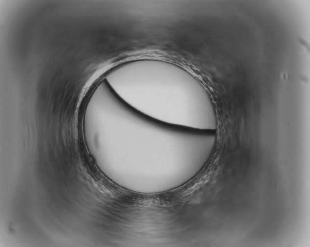 X0000098040200200804111354