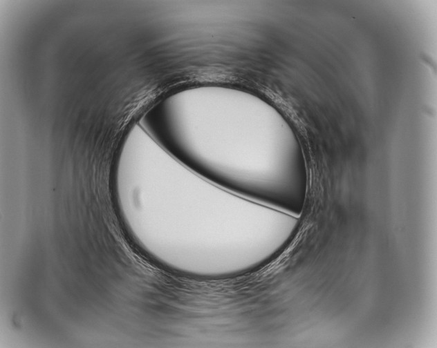 X0000098040201200804111354