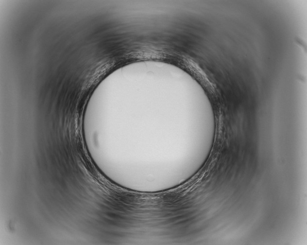 X0000098040202200804111354