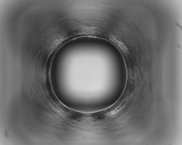 X0000098040203200804111354