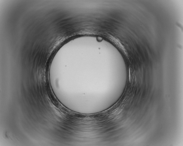 X0000098040204200804111354
