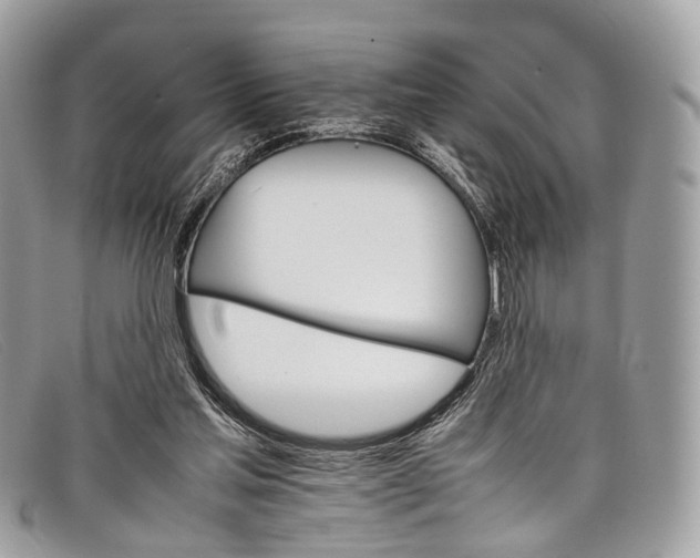 X0000098040205200804111354