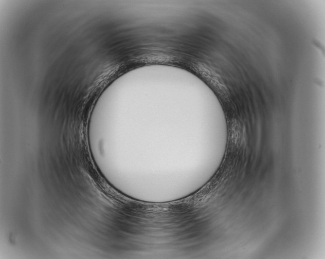 X0000098040206200804111354