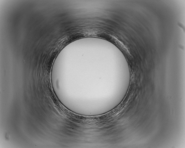X0000098040209200804111354