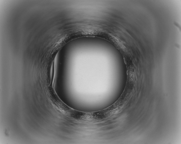 X0000098040211200804111354