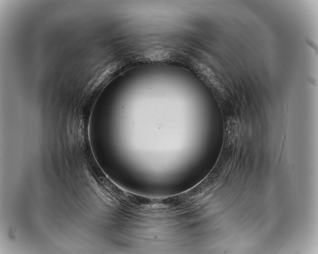 X0000098040212200804111354