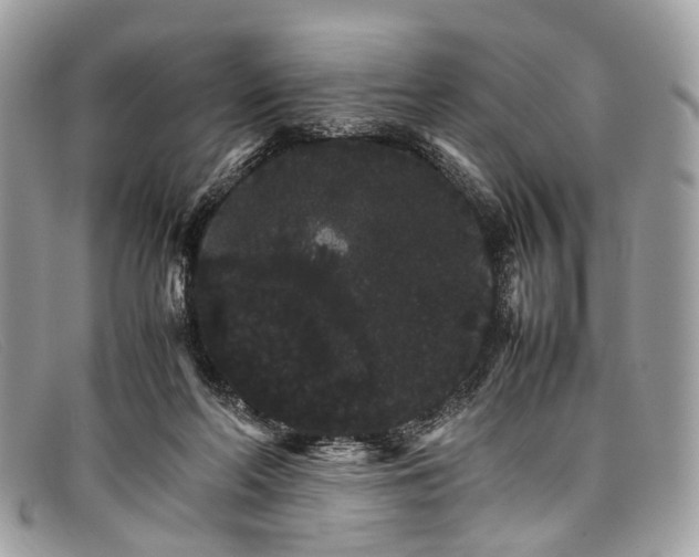 X0000098040214200804111354