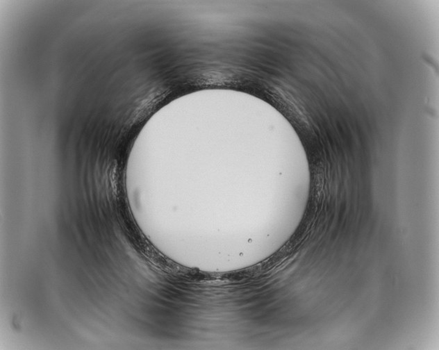 X0000098040216200804111354
