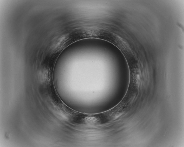 X0000098040218200804111354