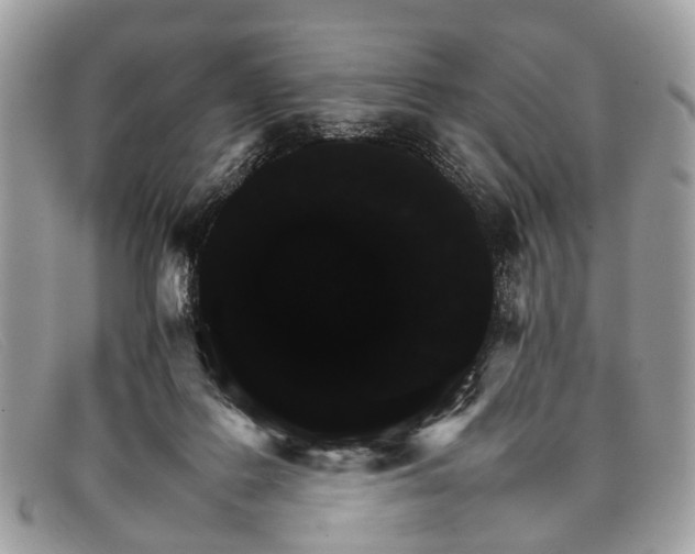 X0000098040219200804111354