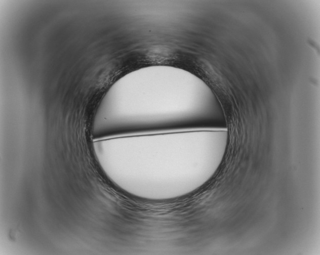 X0000098040221200804111354
