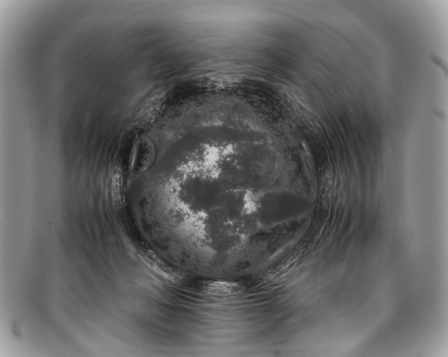 X0000098040222200804111354