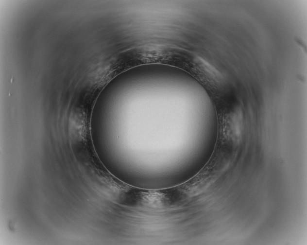 X0000098040226200804111354