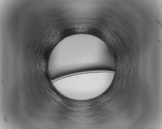 X0000098040227200804111354