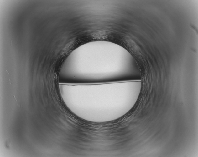 X0000098040229200804111354