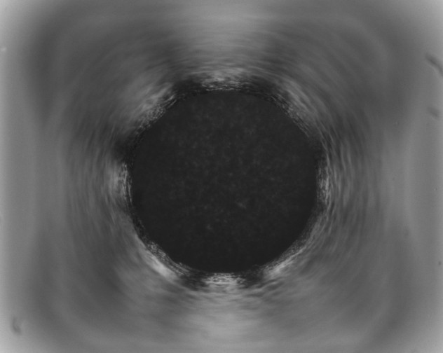 X0000098040231200804111354