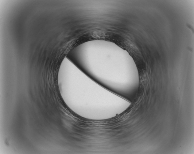 X0000098040233200804111354