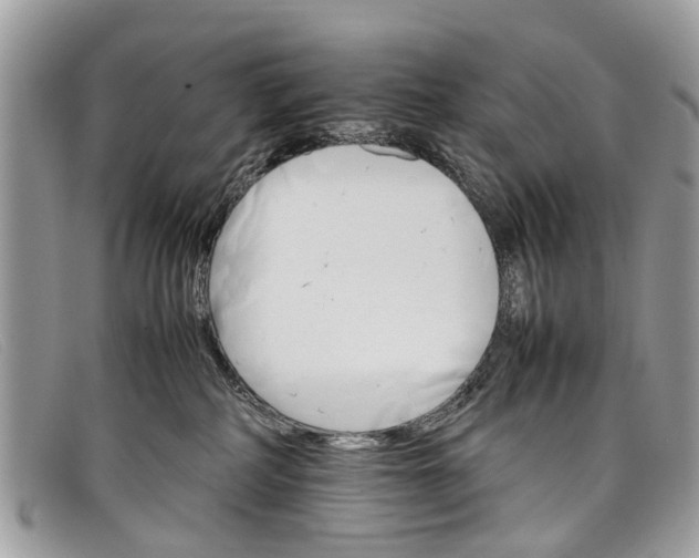 X0000098040234200804111354