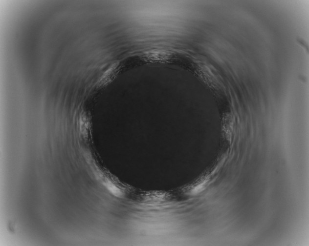 X0000098040235200804111354