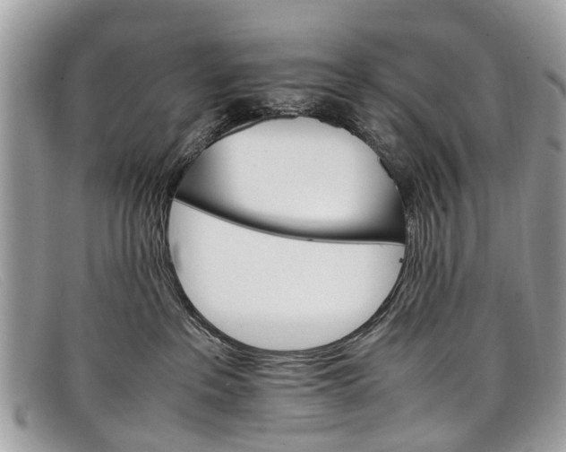 X0000098040237200804111354
