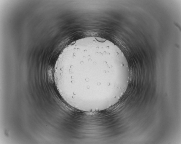 X0000098040238200804111354
