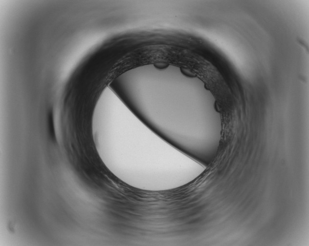 X0000098040239200804111354