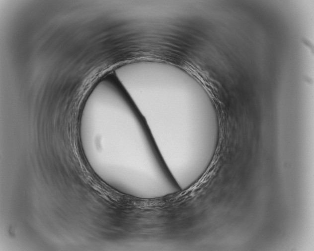 X0000098040241200804111353