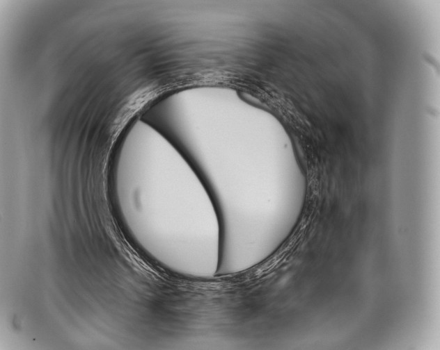 X0000098040242200804111353