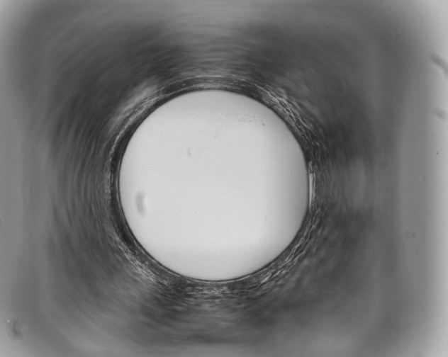X0000098040243200804111353