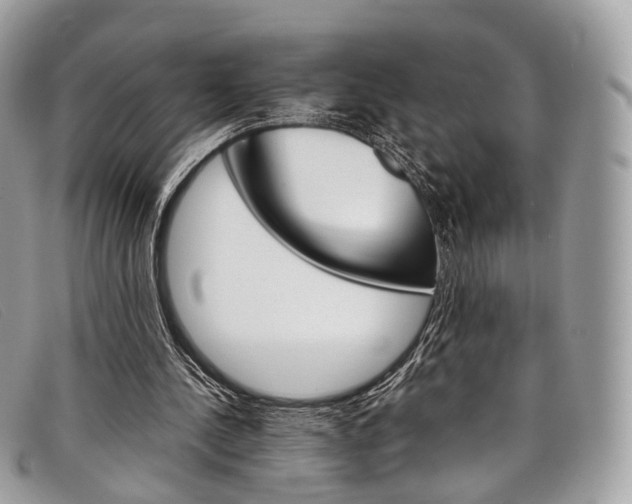 X0000098040244200804111353