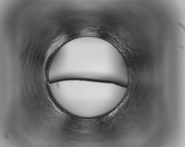 X0000098040245200804111353