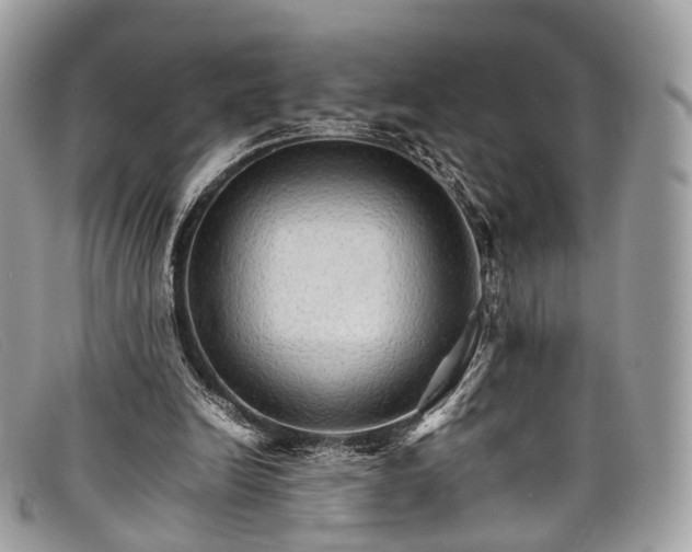 X0000098040246200804111353