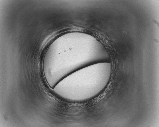 X0000098040247200804111353