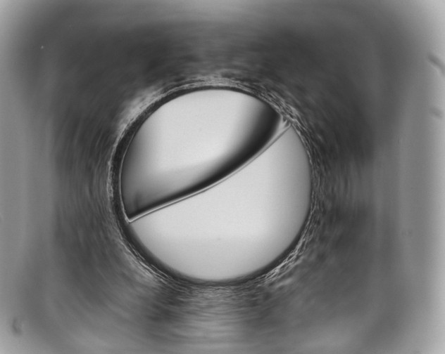 X0000098040248200804111353
