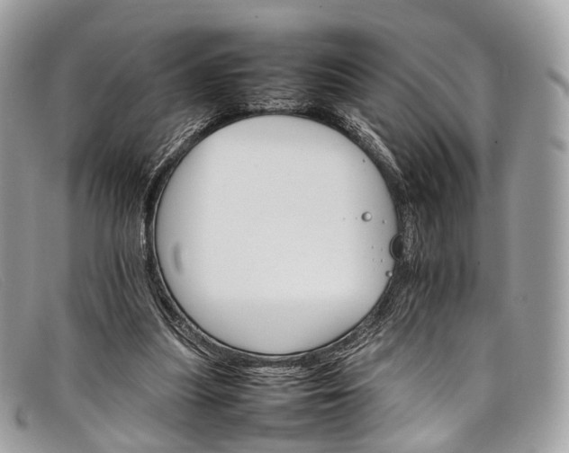 X0000098040251200804111353