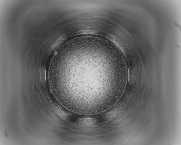 X0000098040253200804111353
