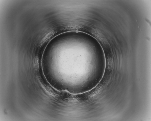 X0000098040254200804111353
