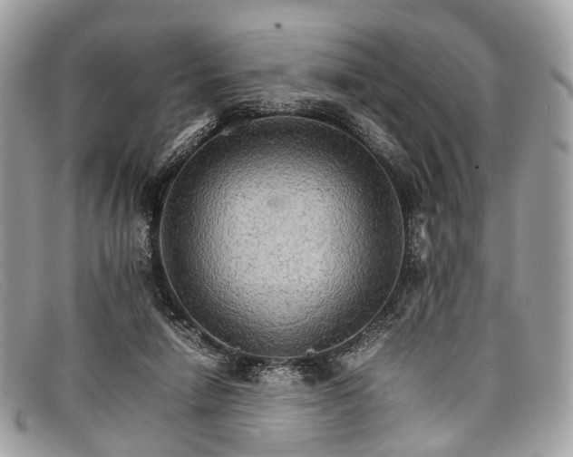 X0000098040258200804111353