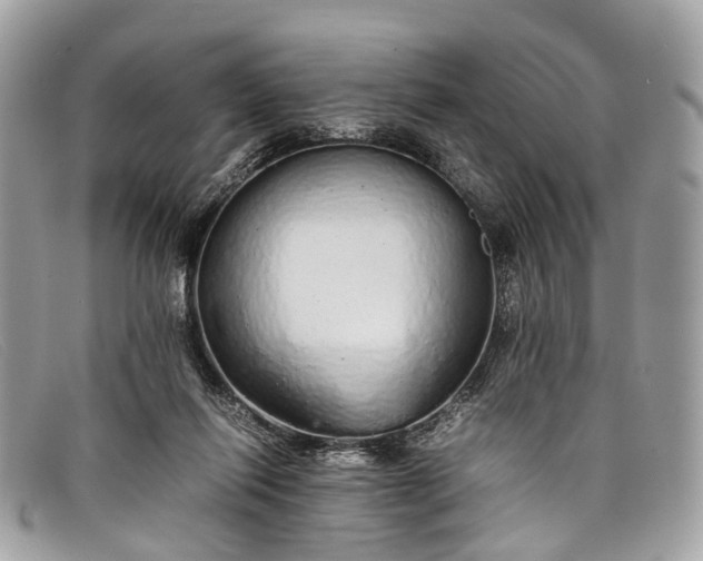 X0000098040262200804111353