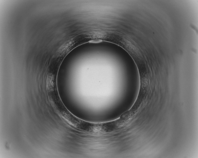 X0000098040264200804111353